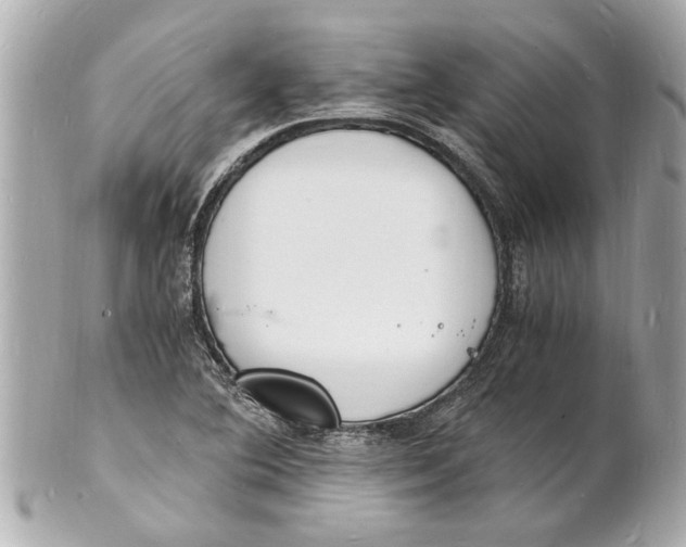 X0000101671364200807311448