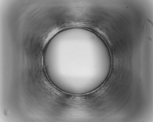 X0000101671365200807311448