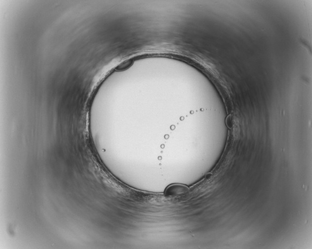 X0000101671366200807311448