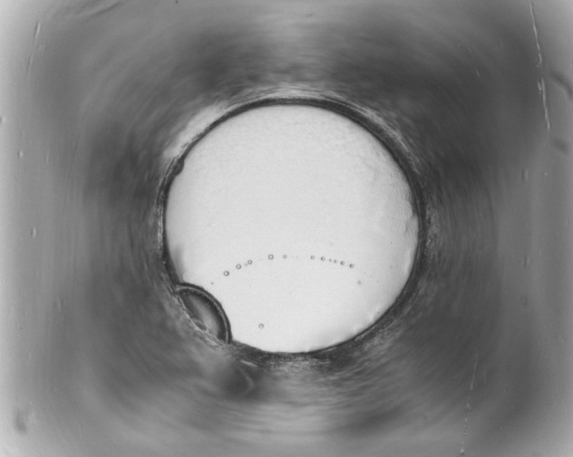 X0000101671367200807311448