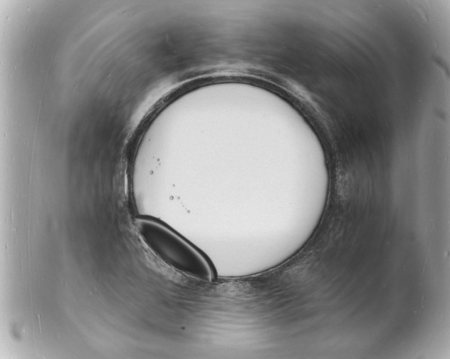 X0000101671368200807311448