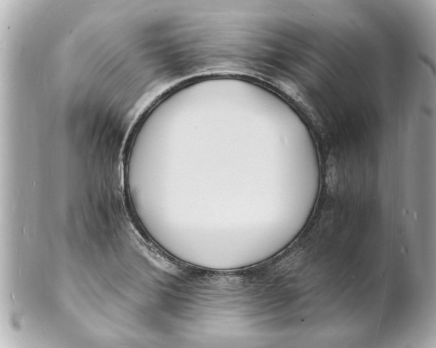 X0000101671372200807311448