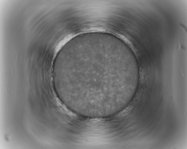 X0000101671373200807311448