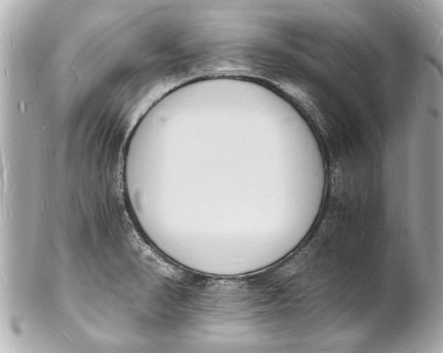 X0000101671374200807311448