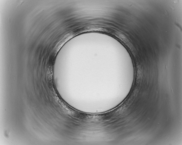 X0000101671377200807311448