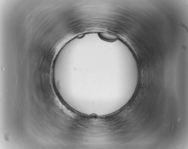 X0000101671379200807311448