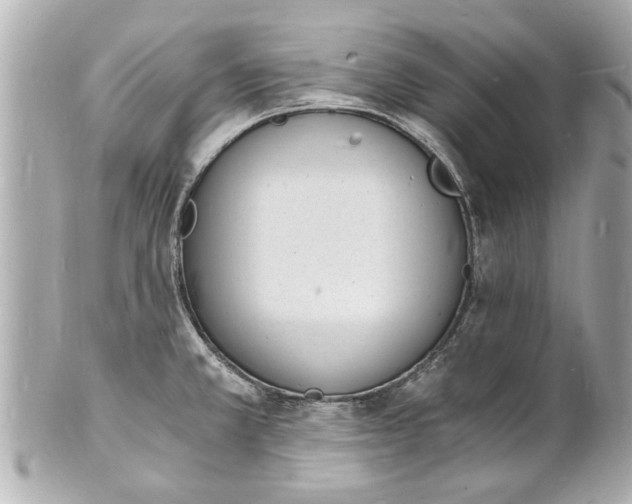 X0000101671381200807311448