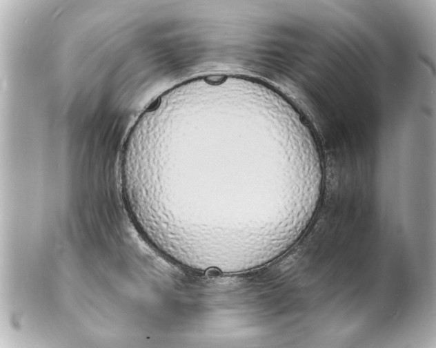 X0000101671382200807311448