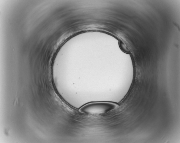 X0000101671384200807311448