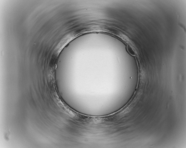 X0000101671385200807311448