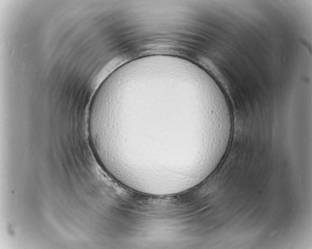 X0000101671386200807311448