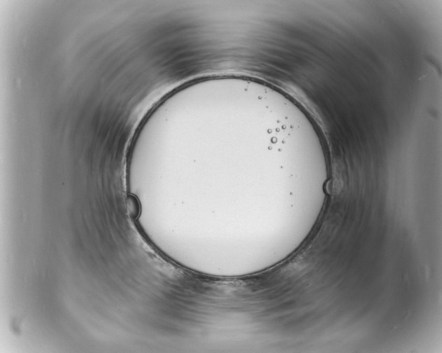X0000101671388200807311448