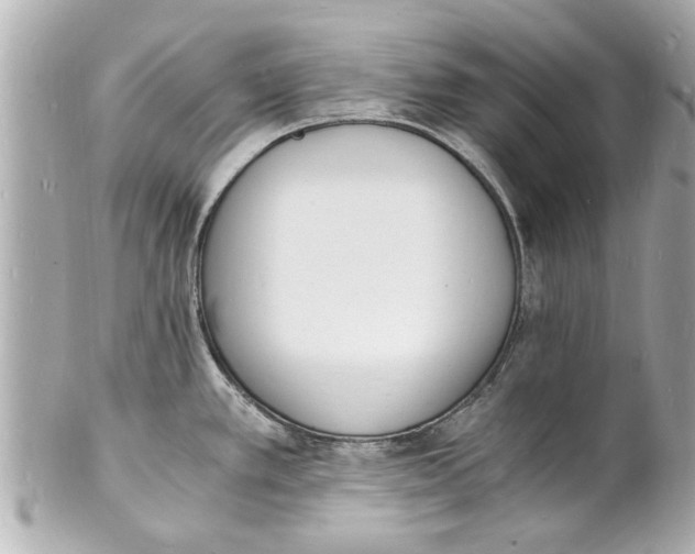 X0000101671389200807311448