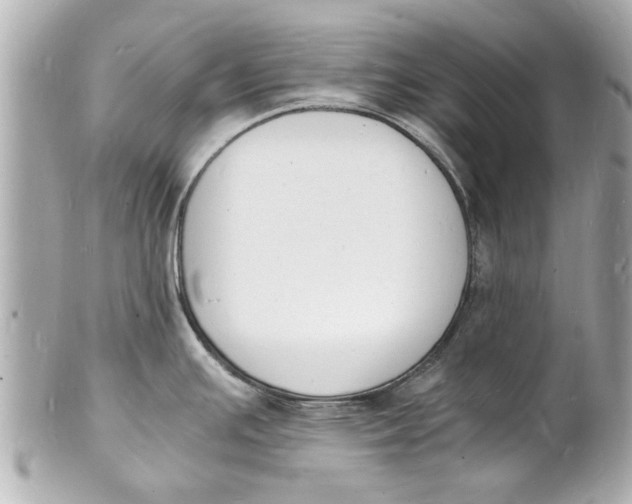 X0000101671391200807311447