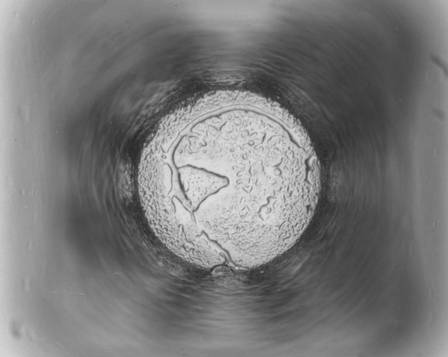 X0000101671394200807311447