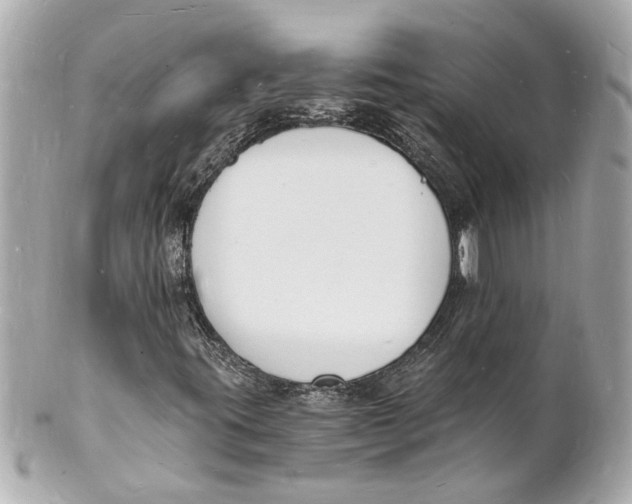X0000101671395200807311447