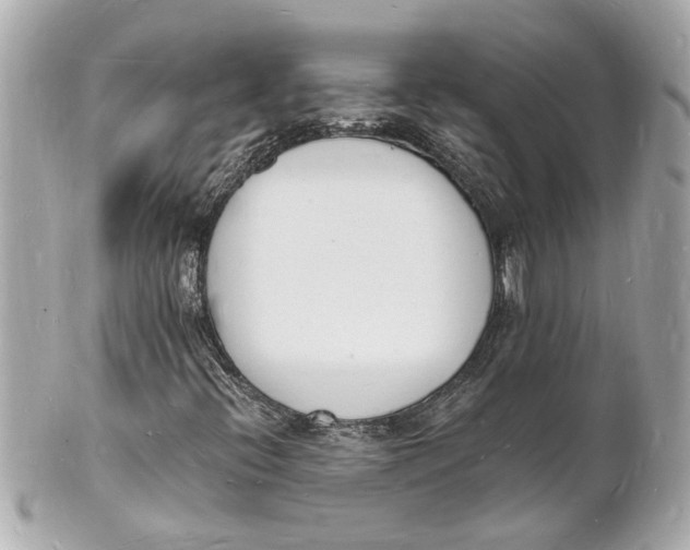 X0000101671396200807311447