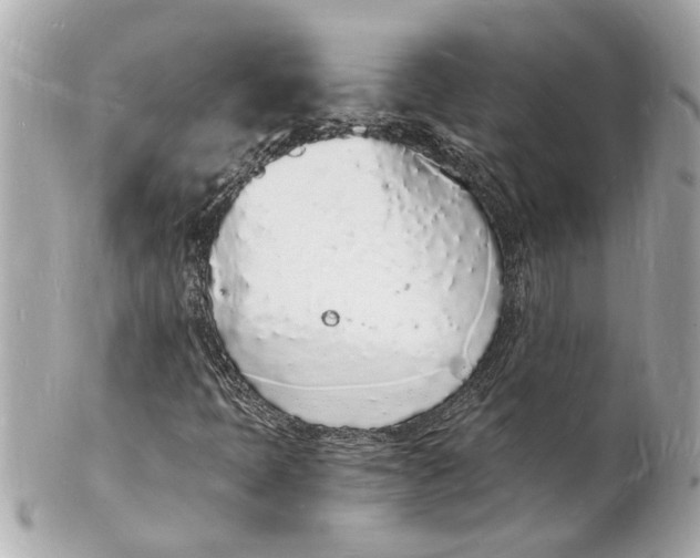 X0000101671397200807311447