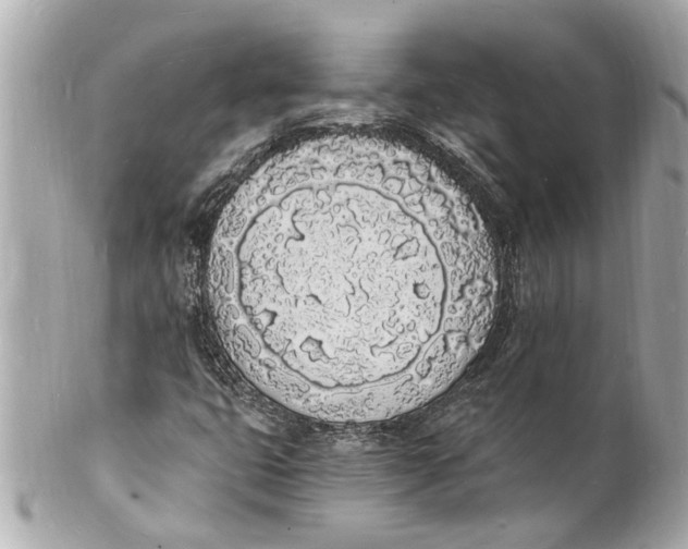 X0000101671399200807311447
