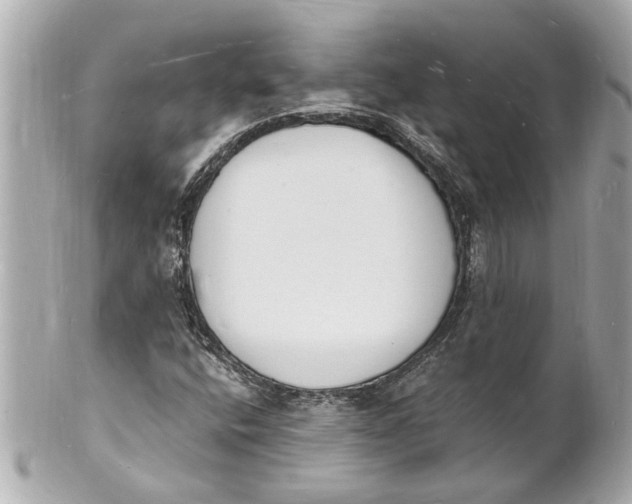 X0000101671400200807311447