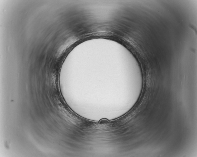 X0000101671402200807311447