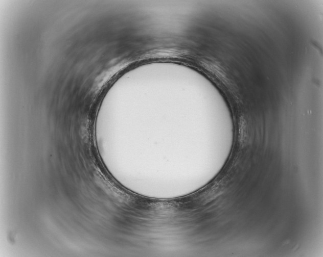 X0000101671404200807311447