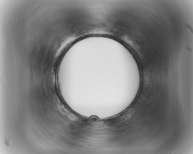 X0000101671408200807311447
