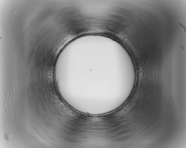 X0000101671409200807311447