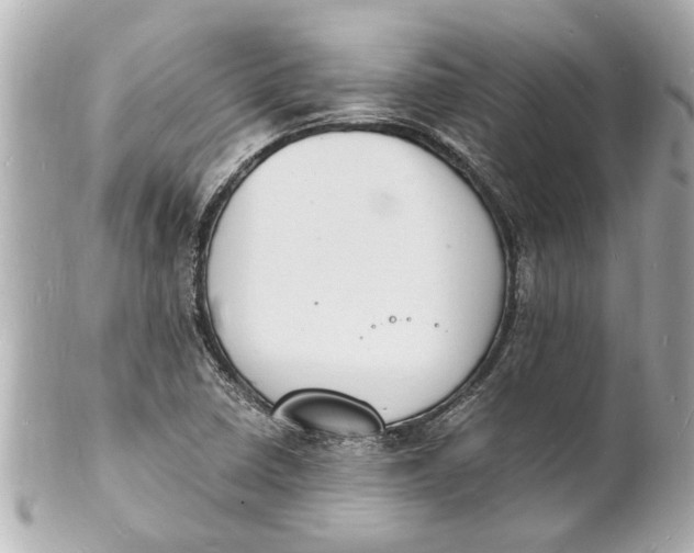 X0000101671410200807311447