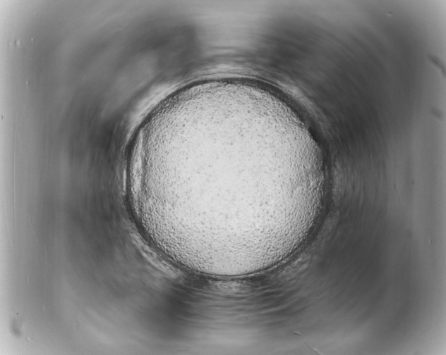 X0000101671413200807311447
