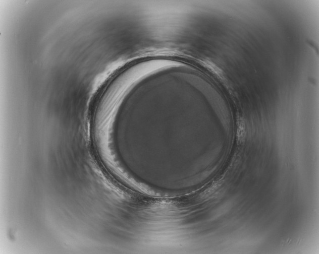 X0000101671414200807311447