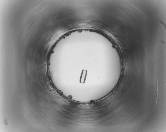 X0000101671415200807311447