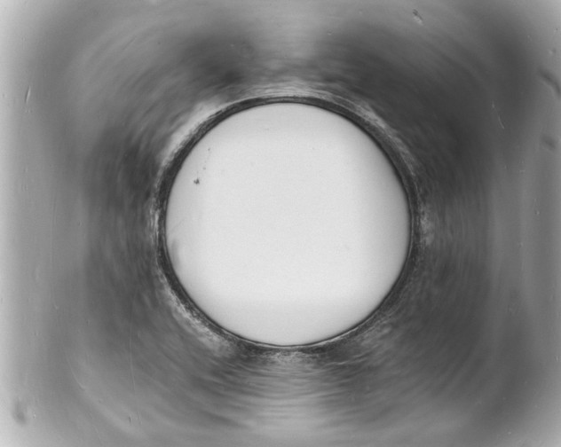 X0000101671416200807311447