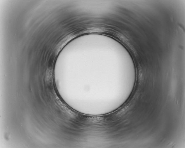 X0000101671417200807311447