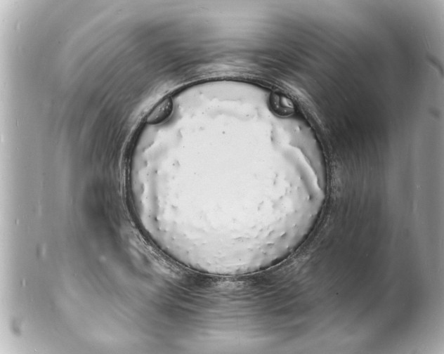 X0000101671419200807311447