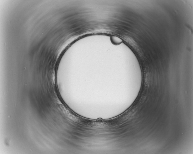 X0000101671420200807311447