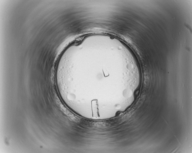 X0000101671421200807311447