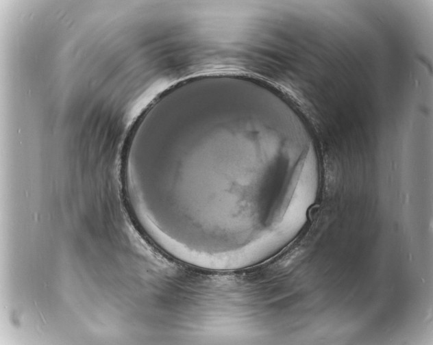 X0000101671422200807311447