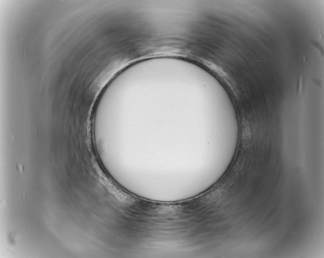 X0000101671423200807311447