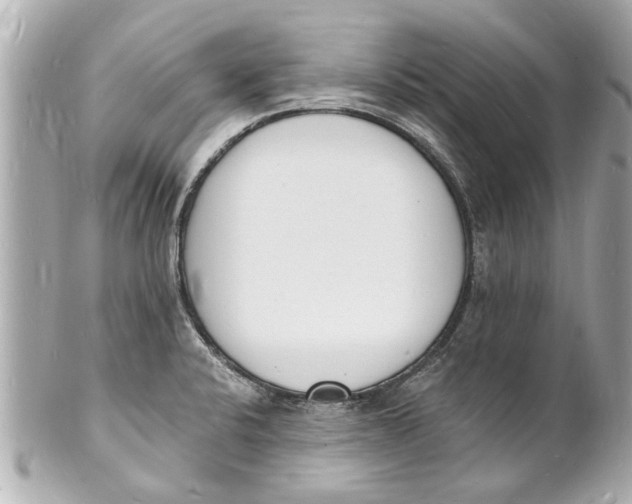 X0000101671424200807311447