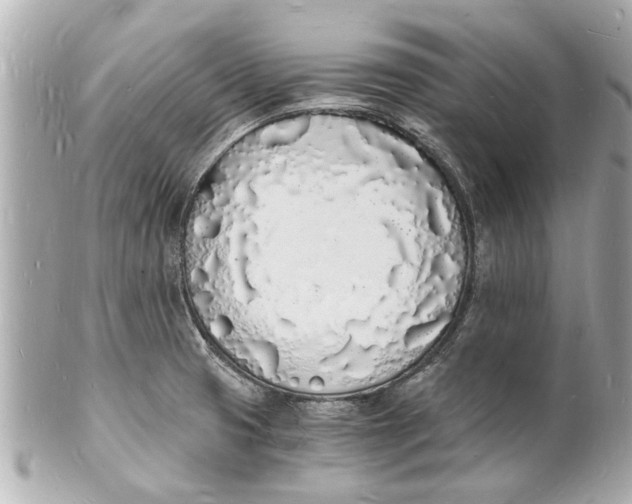 X0000101671425200807311447