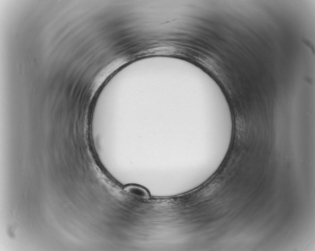 X0000101671426200807311447