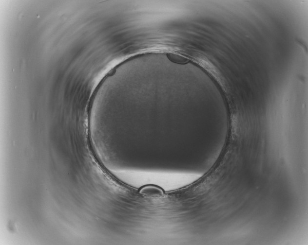 X0000101671428200807311447