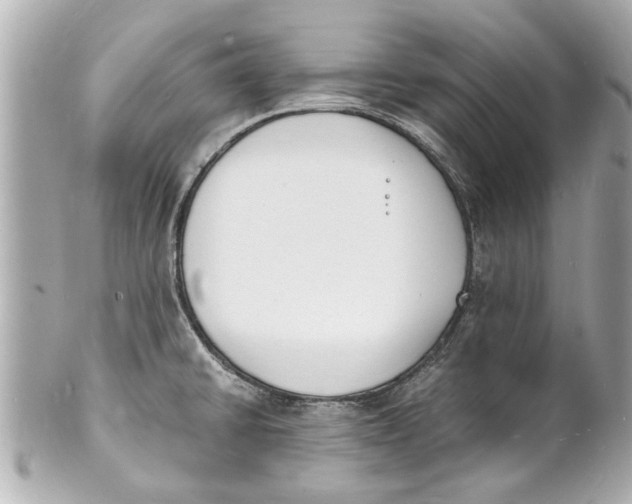 X0000101671430200807311447