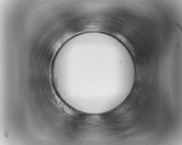 X0000101671431200807311447