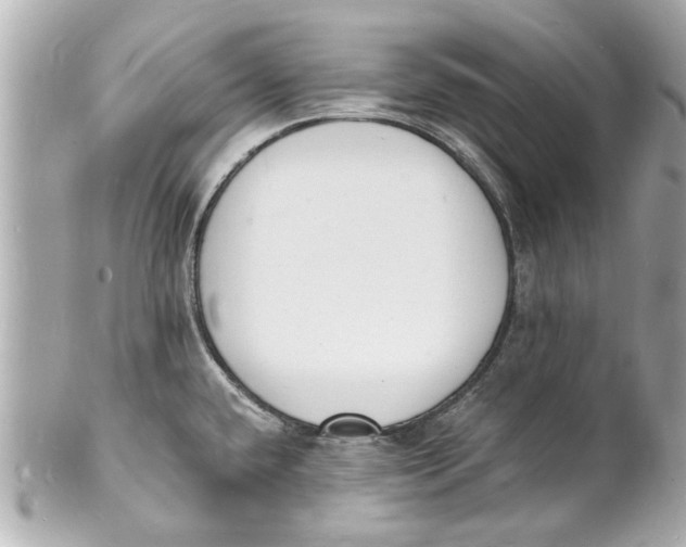 X0000101671432200807311447