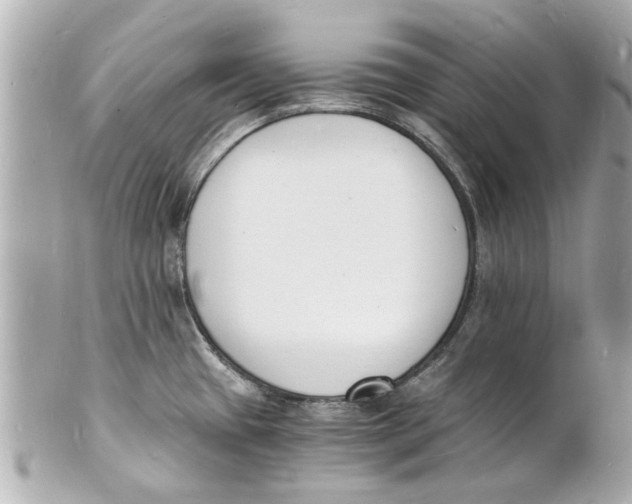 X0000101671433200807311447