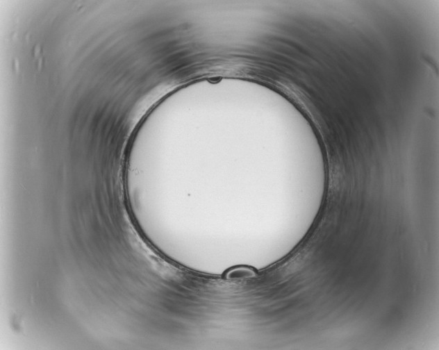 X0000101671434200807311447