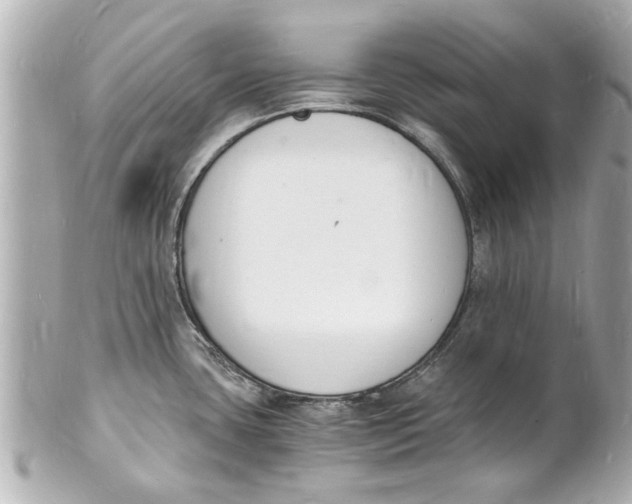 X0000101671435200807311447