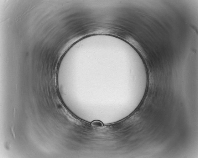 X0000101671436200807311447